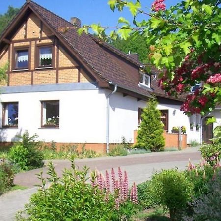 Fewo im Herzen der Insel Bergen Auf Rugen Zewnętrze zdjęcie